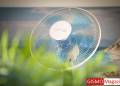 Rowenta Standventilator Turbo Silence Extreme